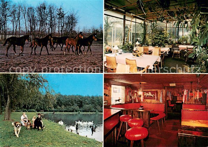 Buenzen Aukrug Pferdeherde Trabergestuet Helenenhof Gaststube Bar Schwanenteich