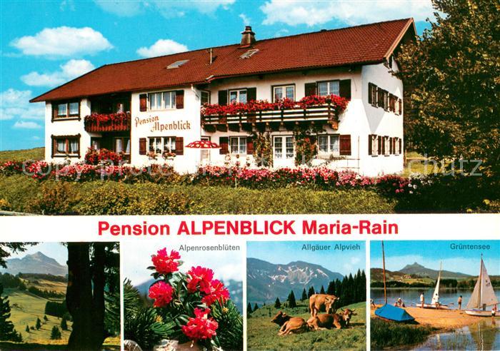 Maria Rain Allgaeu Pension Alpenblick Alpenrosen Alpvieh Gruentensee