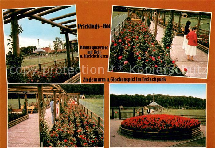 Haltern See Prickings Hof Kinderspielwiese mit Reit und Streicheltieren Ziegentu