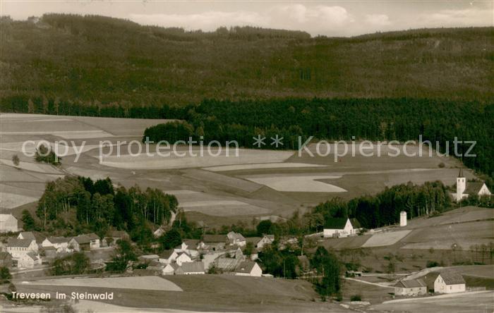 Trevesen im Steinwald Fliegeraufnahme