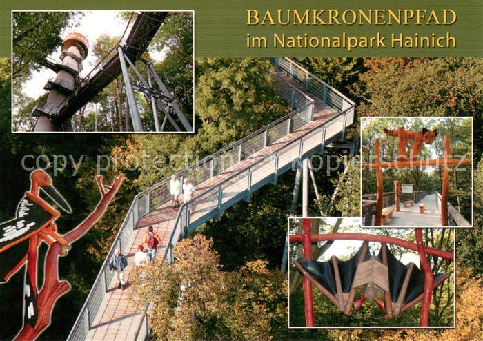 Hainich-Hoerselberg Baumkronenpfad Fliegeraufnahme