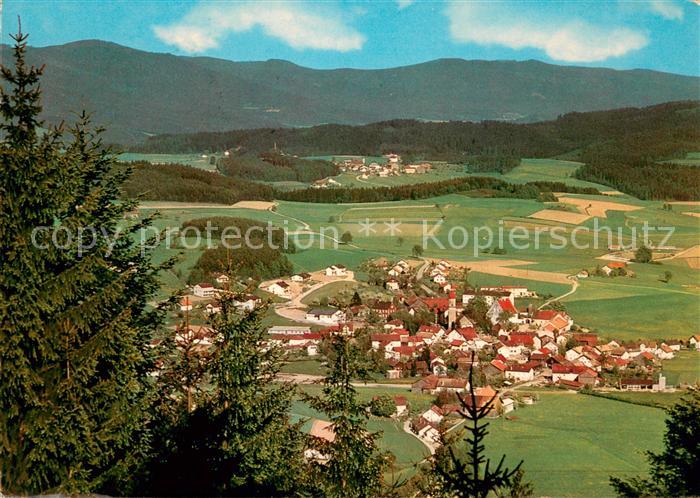 Blaibach Panorama
