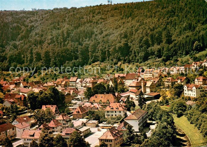 Neuenbuerg Enz Fliegeraufnahme