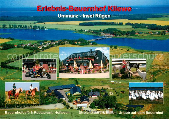 Ummanz Bauernhofcafe und Restaurant Hofladen Streicheltiere Reiten Urlaub auf de