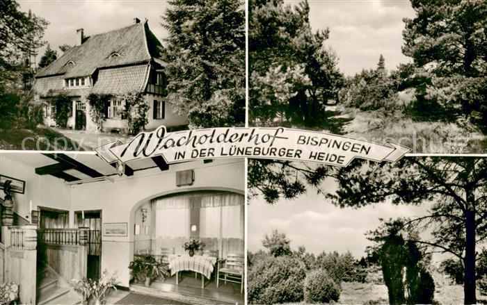Bispingen Wacholderhof Lueneburger Heide Gaststube