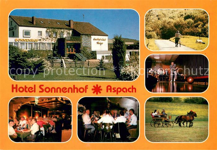 Kleinaspach Hotel Sonnenhof Gastraeume Waldweg Kegelbahn Pferdekutsche