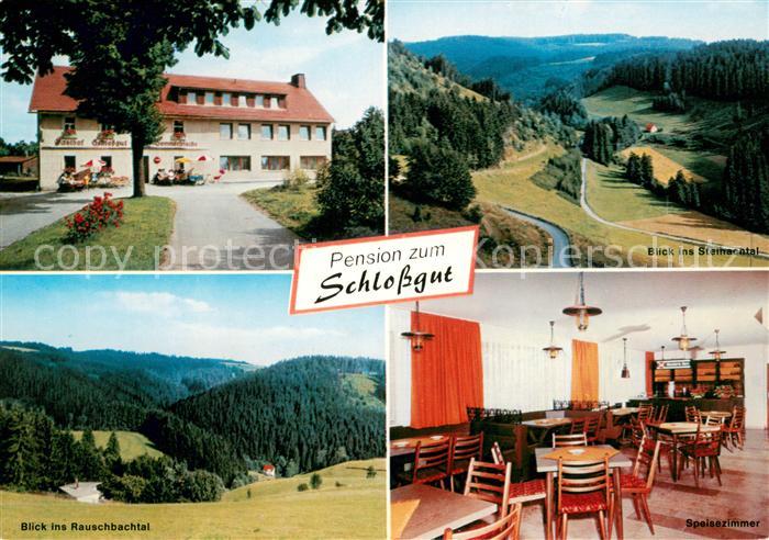 Schlopp Pension zum Schlossgut Rauschbachtal Steinachtal Gaststube