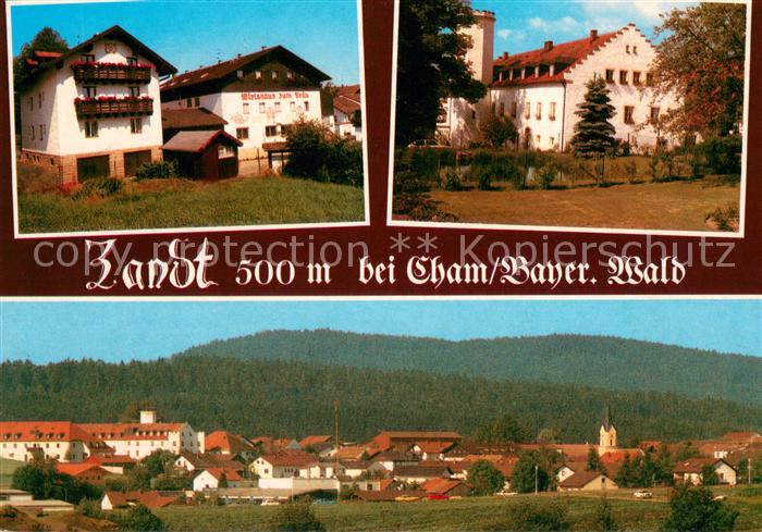 Zandt Oberpfalz Gasthof Pension Fruechtl Panorama