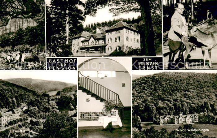 Ernsttal Baden Gasthof Pension zum Prinzen Ernst Schloss Waldleiningen Panorama