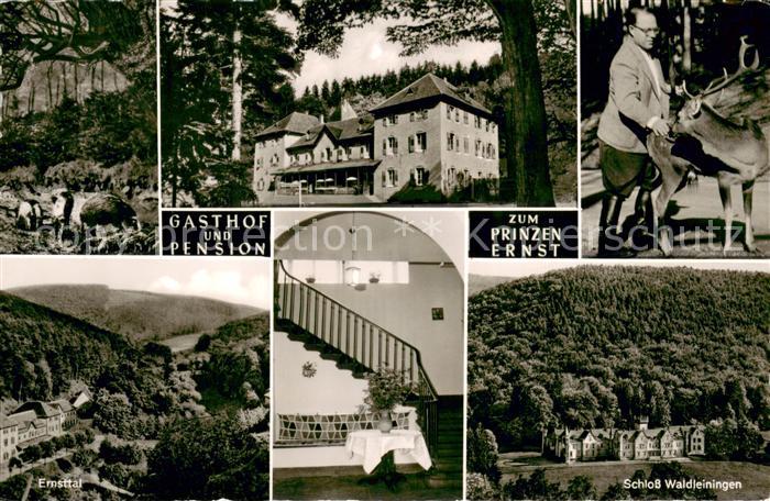 Ernsttal Baden Gasthof Pension zum Prinzen Ernst Schloss Waldleiningen Ernsttal