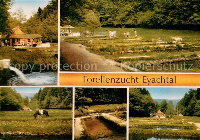Dobel Schwarzwald Forellenzucht Eyachtal
