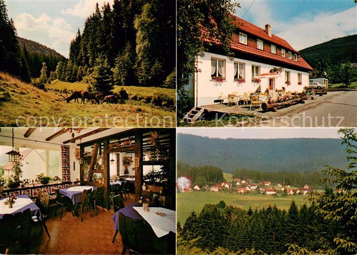 Schoenegruend Pension Vergiss mein nicht Landschaftspanorama Schwarzwald Wild