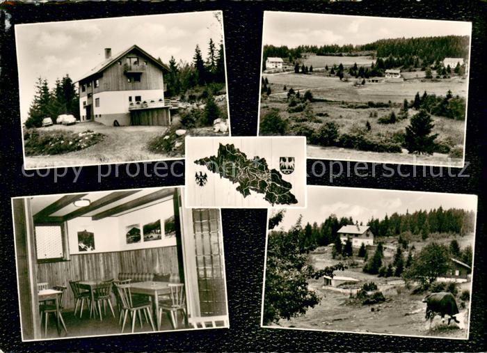 Hierholz Schlesierhaus Ferienwohnungen Landschaftspanorama Schwarzwald