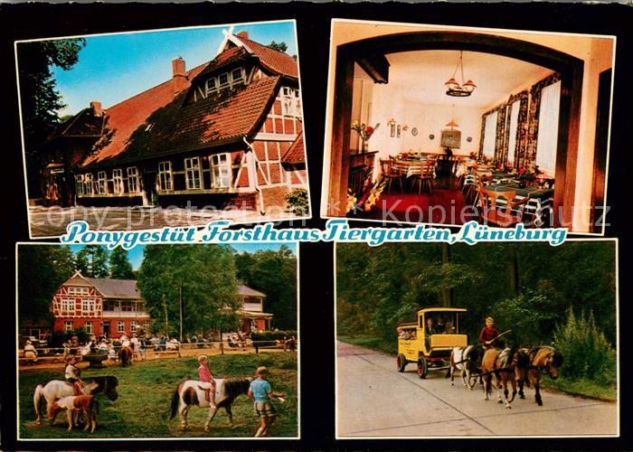 LueNEBURG  CITY Forsthaus Tiergarten Kinderpension Ponyreiten Ponywagen