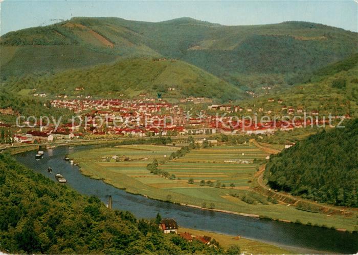 Eberbach Neckar Panorama Neckartal