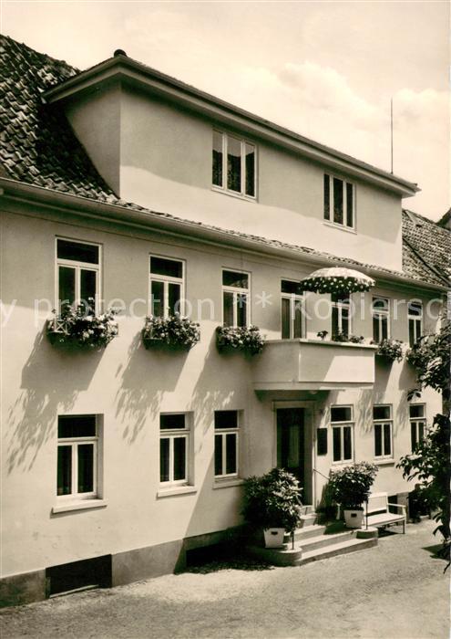 Bad Pyrmont Fremdenheim Blume