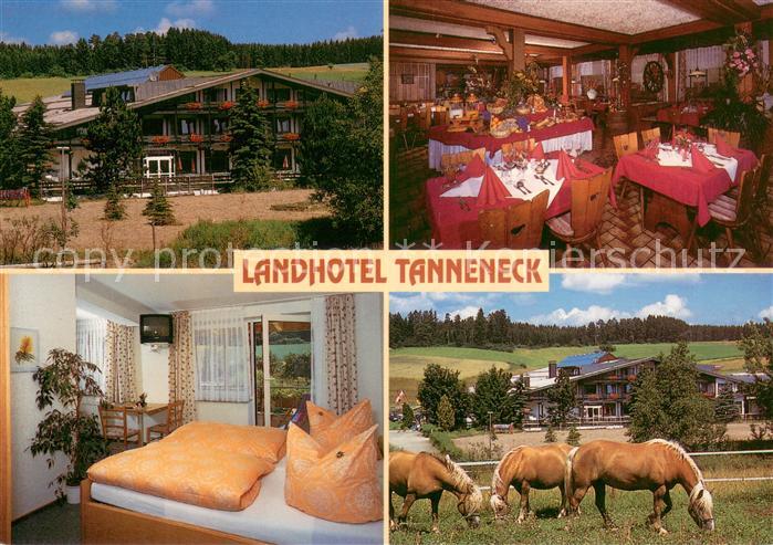 Dittishausen Landhotel Tanneneck Gaststube Zimmer Pferdekoppel