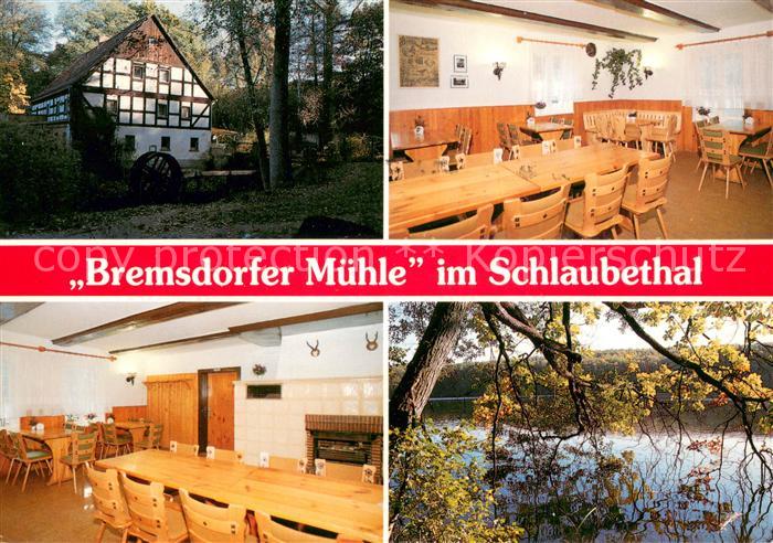 Bremsdorf Muehle Gaststaette Bremsdorfer Muehle Gastraum Natur
