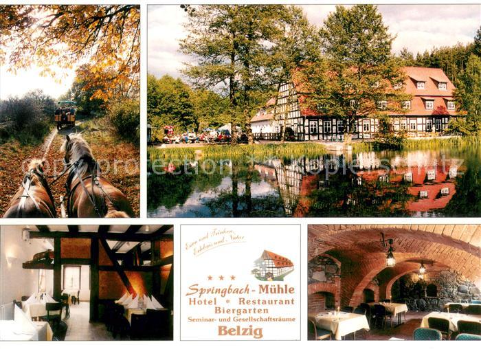 Belzig Bad Springbach M?hle Pferde Fachwerk