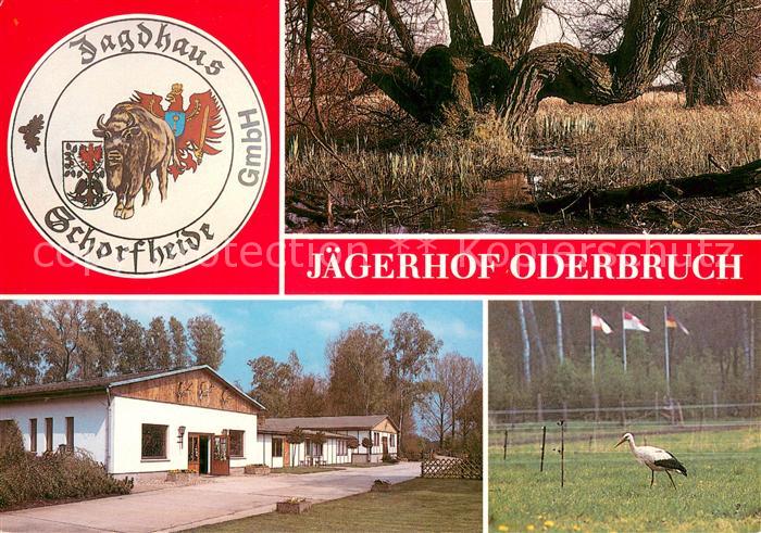 Liepe Eberswalde J?gerhof Oderbruch Storch