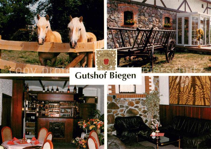 Biegen Frankfurt Oder Gutshof Pferde