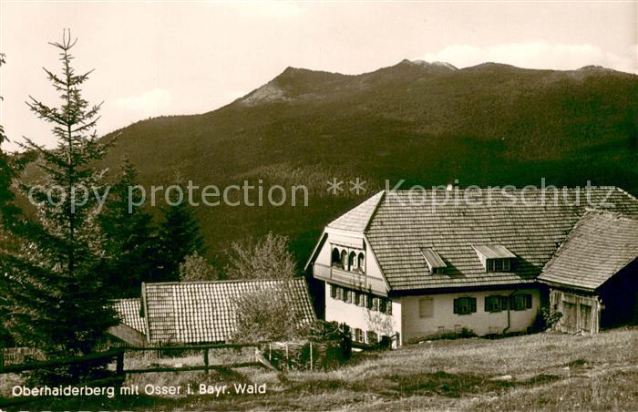 Oberhaiderberg Pension Pfeffer mit Blick zum Osser Bayerischer Wald