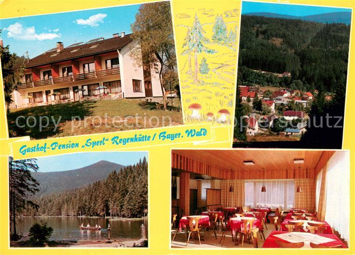 Regenhuette Bayerisch Eisenstein Gasthof Pension Metzgerei Sperl im Bayerischen