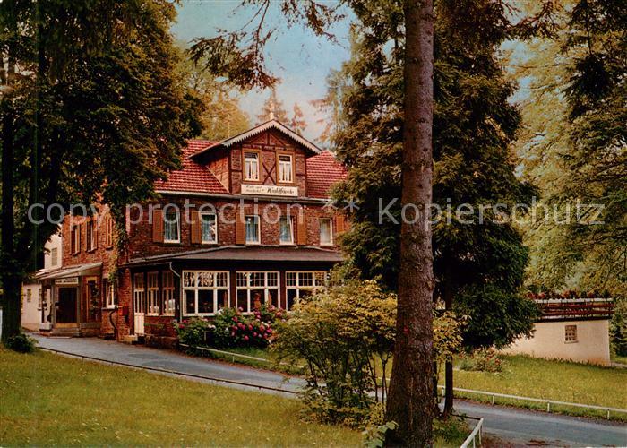 Waldfriede Seesbach Wald- und Berghotel Waldfriede im Soonwald