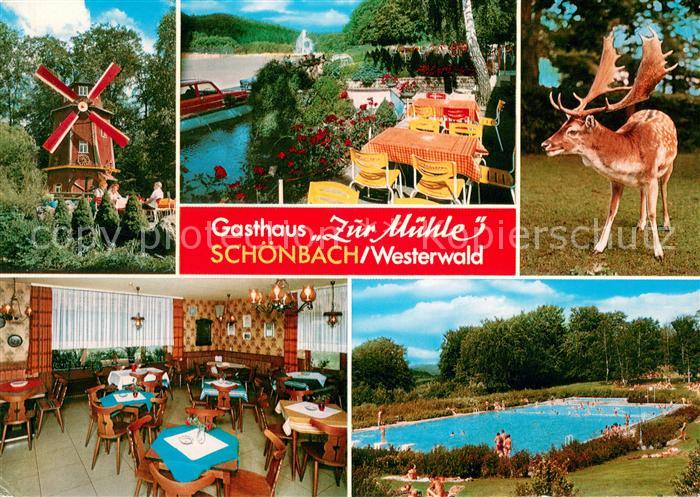 Schoenbach Dillkreis Gasthaus Zur Muehle im Westerwald Restaurant Terrasse Freib