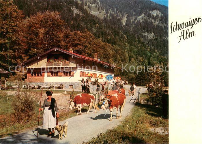 Kreuth Tegernsee Ausflugsgaststaette Cafe Schwaigeralm
