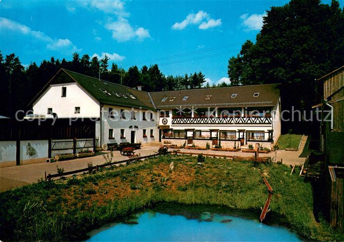 Juliushammer Wunsiedel Ferienhof Juliushammer Teich