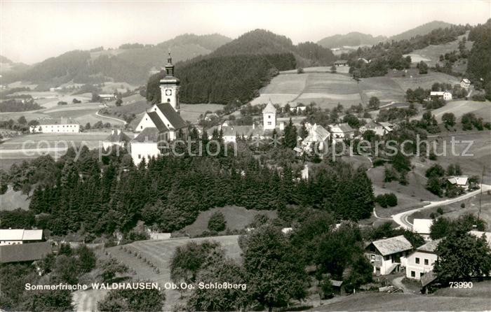 Waldhausen Strudengau Panorama mit Schlossberg