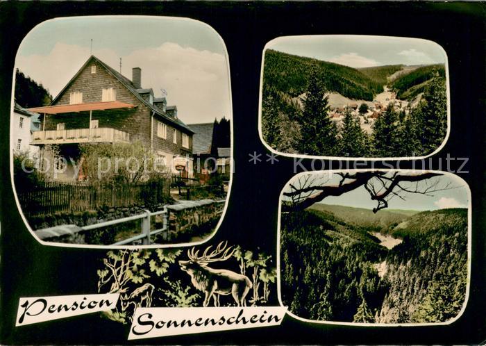Duerrenwaid Pension Sonnenschein Panorama