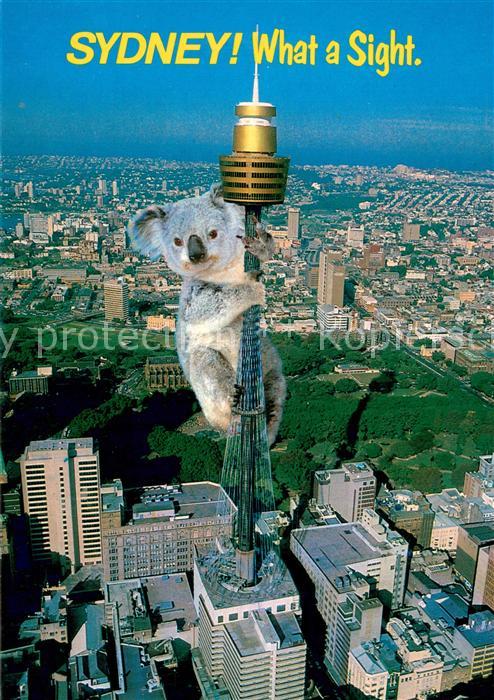 Sydney New South Wales Aerial view of Sydney Tower