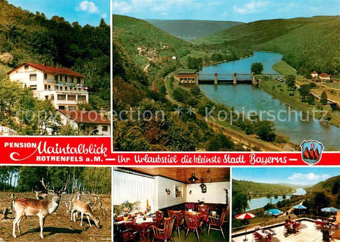 Rothenfels Unterfranken Pension Maintalblick Gaststube Terrasse Wildgehege Mainp