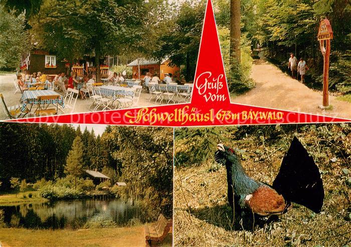 Zwiesel Niederbayern Gaststaette Cafe Schwellhaeusl Terrasse Teich Auerhahn