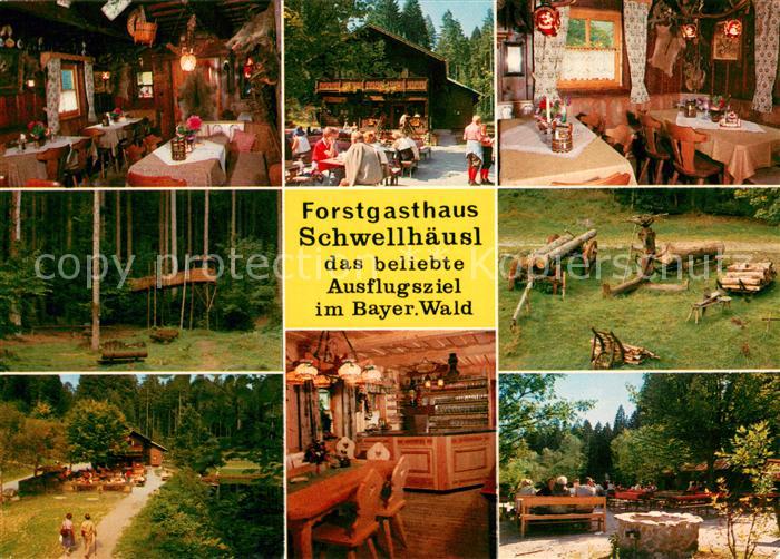 Zwiesel Niederbayern Forstgasthaus Schwellhaeusl Tastraeume Baumpfad Bar Terrass
