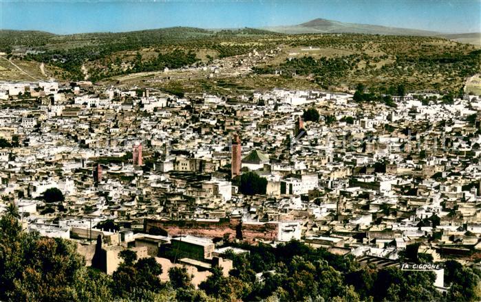 Fes Fez Maroc Panorama sur la ville ancienne
