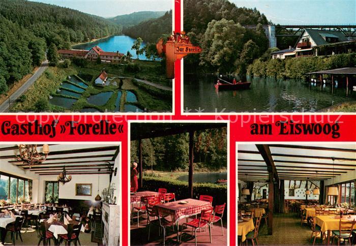 Eiswoog Gasthof Forelle Fischteiche Stausee