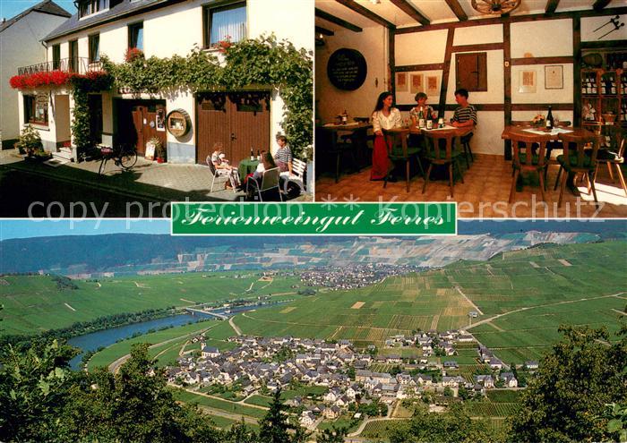 Minheim Ferienweingut Ferres Panorama Blick ins Moseltal