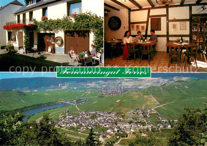 Minheim Ferienweingut Ferres Panorama Blick ins Moseltal