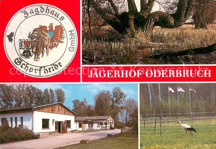 Liepe Jueterbog Jaegerhof Oderbruch Storch Uferboeschung