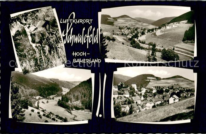 Schwalefeld Teilansichten Reh