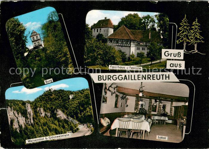 Burggaillenreuth Oberfranken Restaurant Forsthaus Burggaillenreuth Burg Weisentt