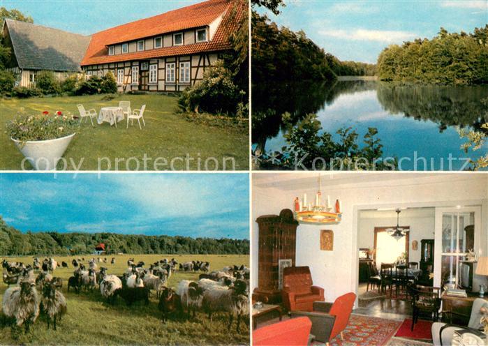 Eldingen Sieglindenhof Garten Weiher Schafherde Gastraum