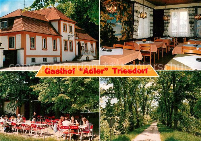 Triesdorf Gasthof Adler Gaststube Terrasse Waldweg