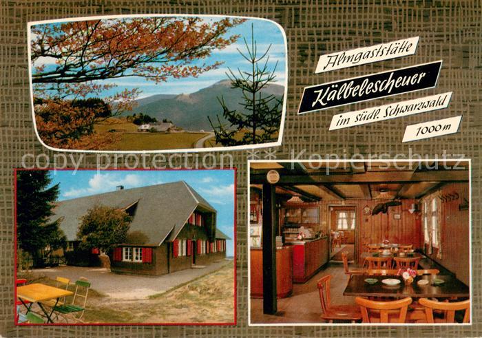 Untermuenstertal Almgaststaette Kaelbelescheuer Landwirtschaftspanorama Schwarzw