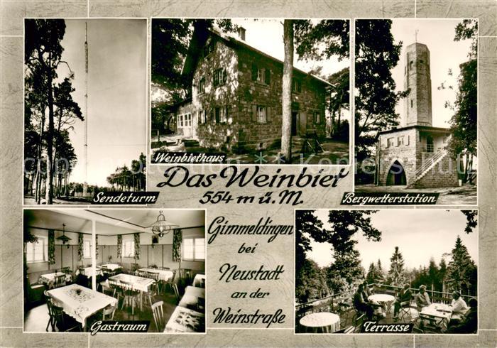 Gimmeldingen Weinbiethaus Schutzhuette des Pfaelzerwaldvereins Sendeturm Bergwet