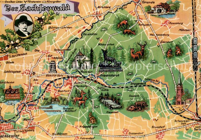 Friedrichsruh Aumuehle und Umgebung Der Sachsenwald Landkarte