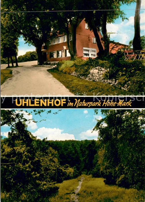 Holtwick Westfalen Uhlenhof zur Wacholderheide im Naturpark Hohe Mark Waldlandsc